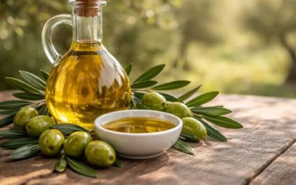 Pakistani Olive Oil Firm Loralai Olives Secures Gold Medal at Dubai Competition Pakistani Olive Oil Firm Loralai Olives Secures Gold Medal at Dubai Competition