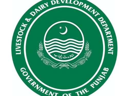 No Skin Disease Reported in Rawalpindi, Livestock Department on Alert No Skin Disease Reported in Rawalpindi, Livestock Department on Alert