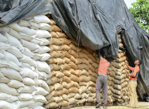 Sindh suspends five Food Department officials over alleged wheat hoarding connivance Sindh suspends five Food Department officials over alleged wheat hoarding connivance