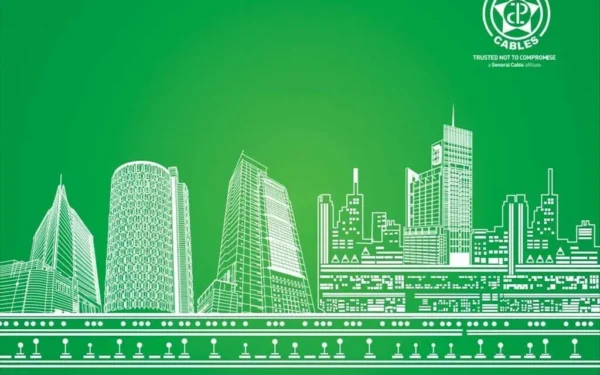 Pakistan Cables Limited Reports Staggering Growth in Net Profit but Faces Challenges Pakistan Cables Limited Reports Staggering Growth in Net Profit but Faces Challenges