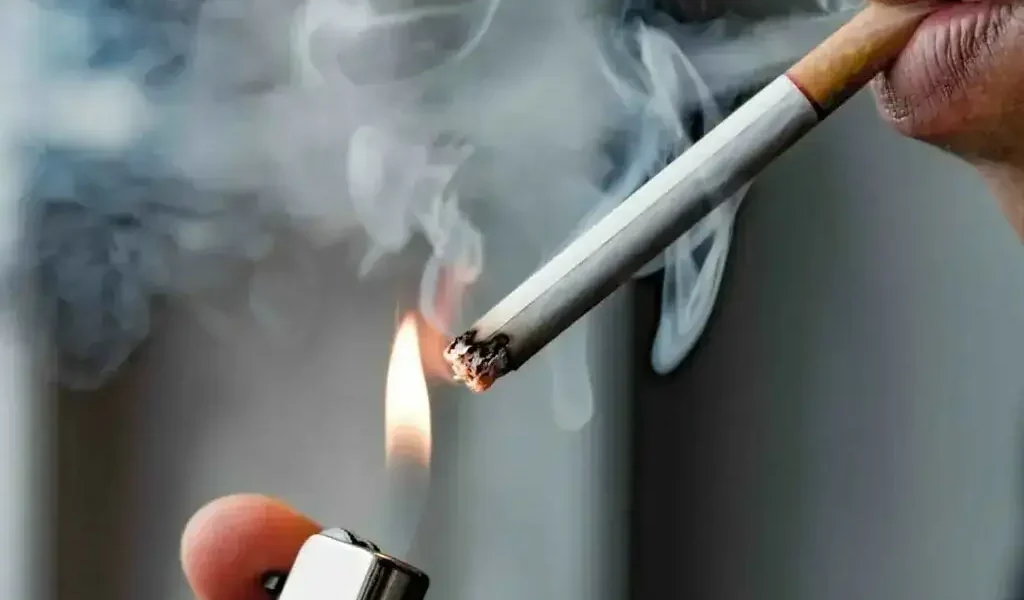 Tobacco Harm Reduction Urged as Smokers Persist Despite Health Warnings Tobacco Harm Reduction Urged as Smokers Persist Despite Health Warnings