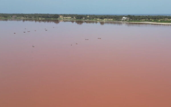 Pink Lake’s Salt Trade Revives After Flood Recovery Pink Lake’s Salt Trade Revives After Flood Recovery