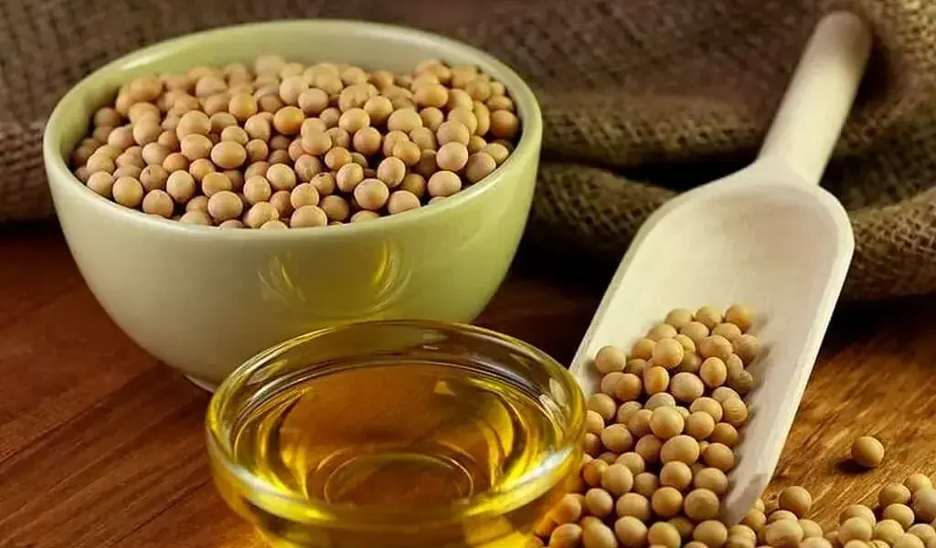 China’s Soybean Imports from US Drop 21% as Brazil Sees Increase China’s Soybean Imports from US Drop 21% as Brazil Sees Increase