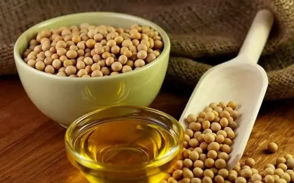 China’s Soybean Imports from US Drop 21% as Brazil Sees Increase China’s Soybean Imports from US Drop 21% as Brazil Sees Increase