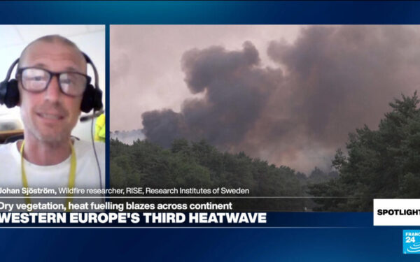 European wildfires: Expert calls for landscape diversification European wildfires: Expert calls for landscape diversification