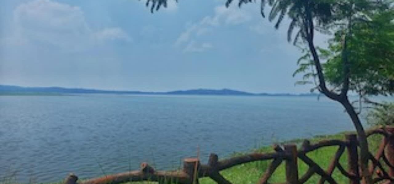 Rawal Lake Sees Dramatic Loss of Tree Cover and Environmental Degradation Rawal Lake Sees Dramatic Loss of Tree Cover and Environmental Degradation