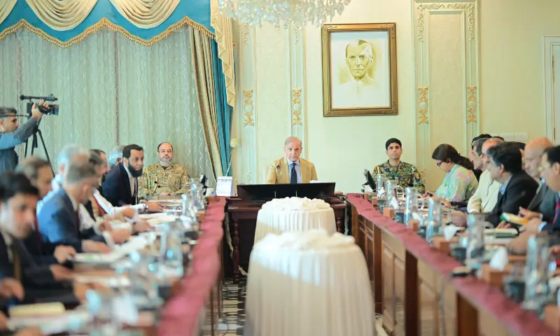 PM Shehbaz Urges Digitisation of Consular Services for Overseas Pakistanis