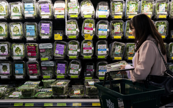 Lettuce Suspected in Major Cyclospora Outbreak
