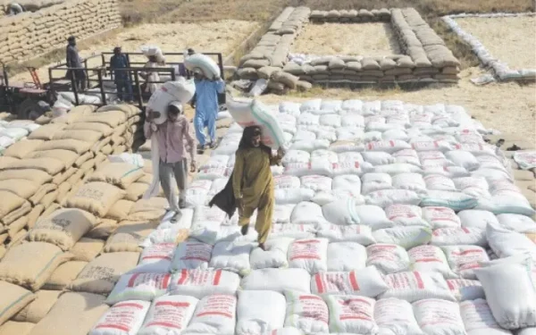 PFMA Urges Federal Government to Import Wheat to Avert Winter Flour Shortage PFMA Urges Federal Government to Import Wheat to Avert Winter Flour Shortage