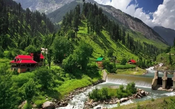 Pakistan reiterates support for Kashmiri self-determination Pakistan reiterates support for Kashmiri self-determination