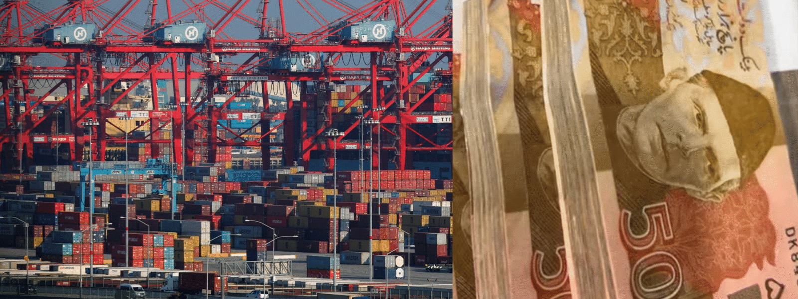 FBR Audit Reveals Rs 3.56 Billion Loss Due to Import Blunders FBR Audit Reveals Rs 3.56 Billion Loss Due to Import Blunders
