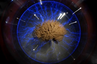 Chinese researchers develop memristor chip for real-time brain modeling