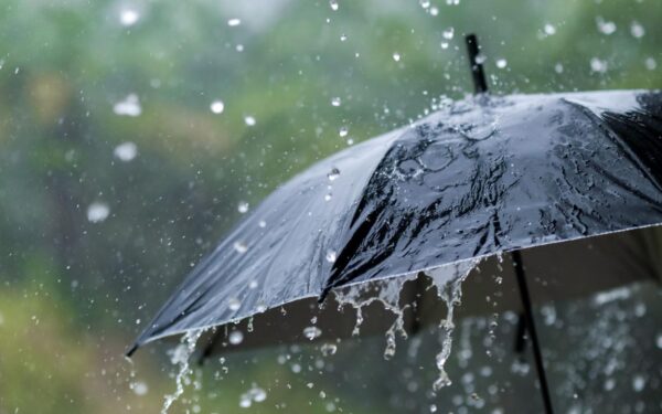 Monsoon Brings Rain to Most of Pakistan Monsoon Brings Rain to Most of Pakistan