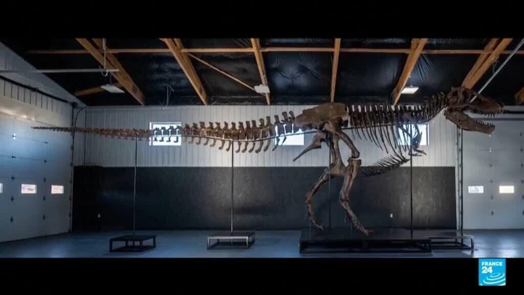 T. rex skeleton sells for record .1 million at Sotheby’s T. rex skeleton sells for record .1 million at Sotheby’s