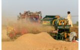 Private Wheat Importers Reject Government Plan, Warn of Billions in Losses