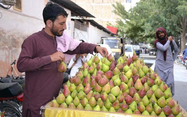 Street vendors and carpenters busy in provincial capital Street vendors and carpenters busy in provincial capital
