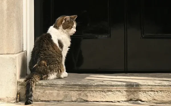 Larry the Cat Welcomes Seventh Prime Minister at No. 10