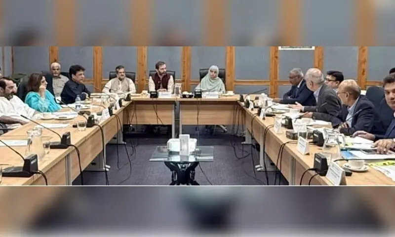 Senate panel demands resolution in Hyatt Regency transfer delay