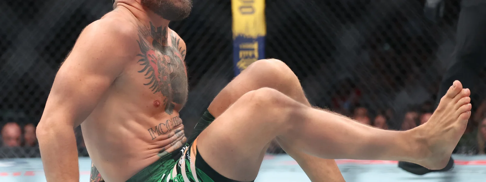 UFC McGregor-Holloway Fight Hits 6.5 Million Viewers UFC McGregor-Holloway Fight Hits 6.5 Million Viewers
