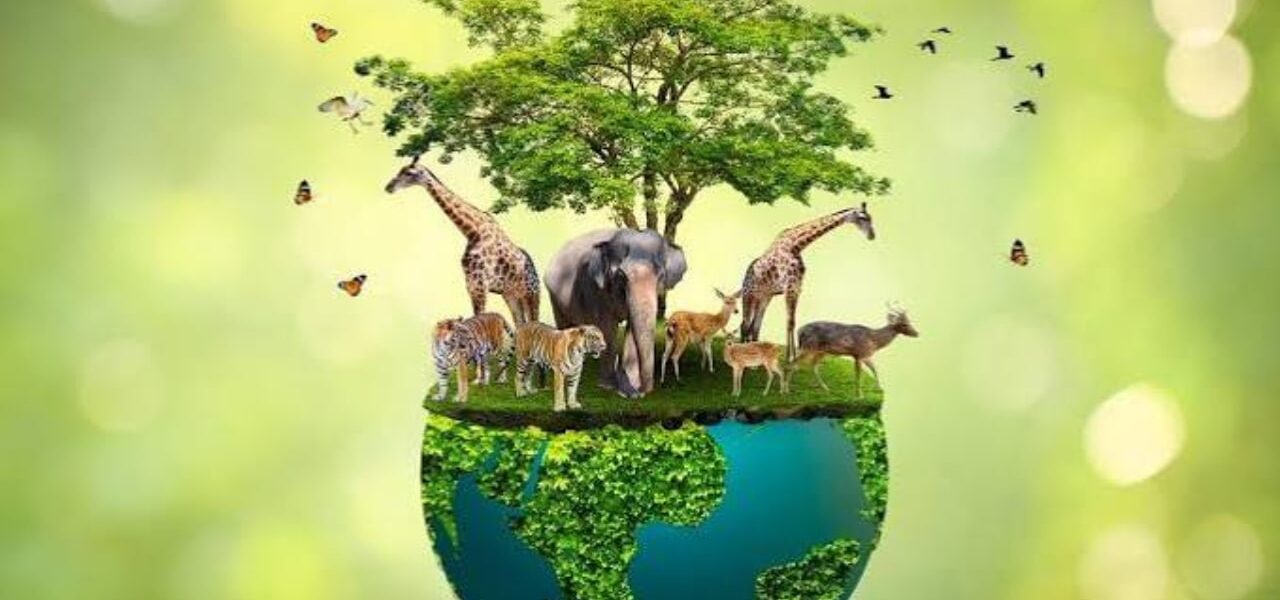 Pakistani Researcher Honoured with International Wildlife Conservation Award Pakistani Researcher Honoured with International Wildlife Conservation Award