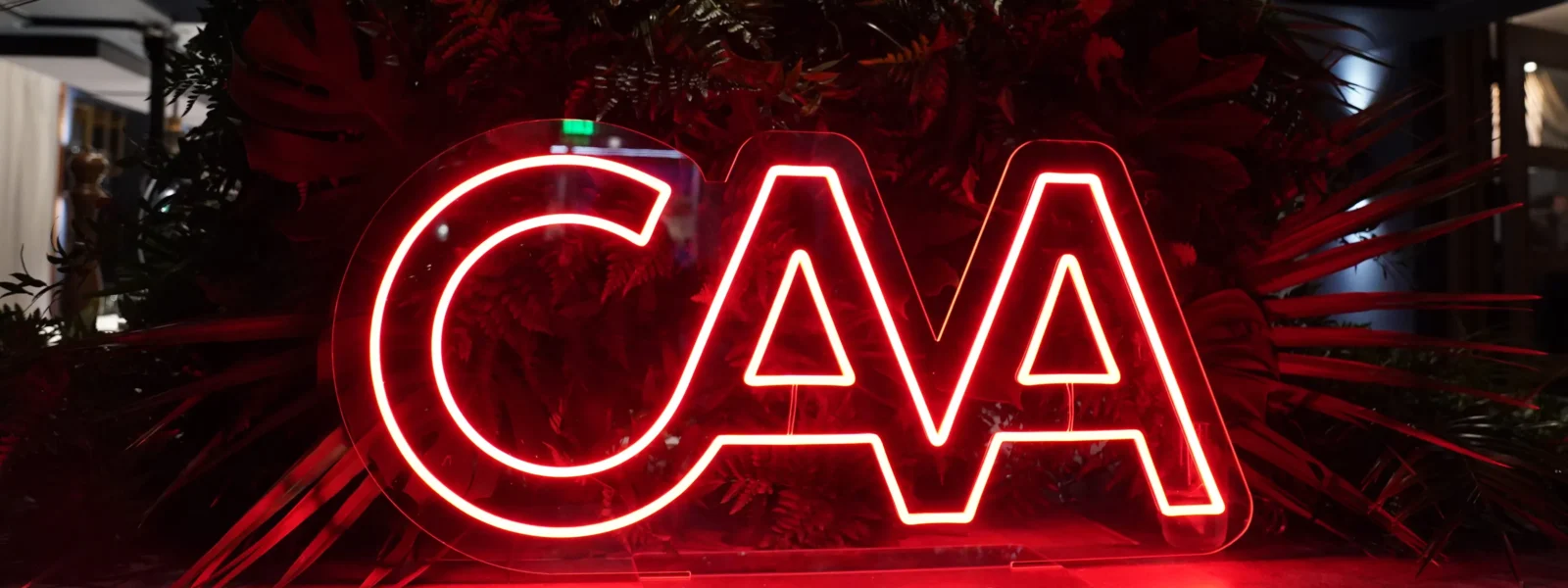 CAA Criticizes Meta for AI Image Tool Using Public Instagram Data CAA Criticizes Meta for AI Image Tool Using Public Instagram Data