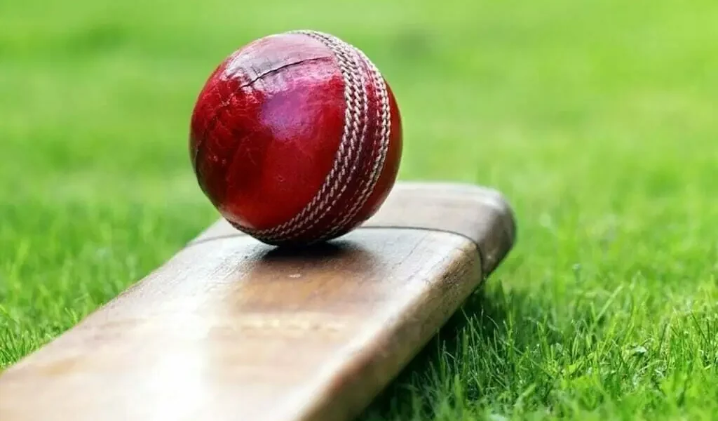 CM Punjab Cricket Champions League Commences