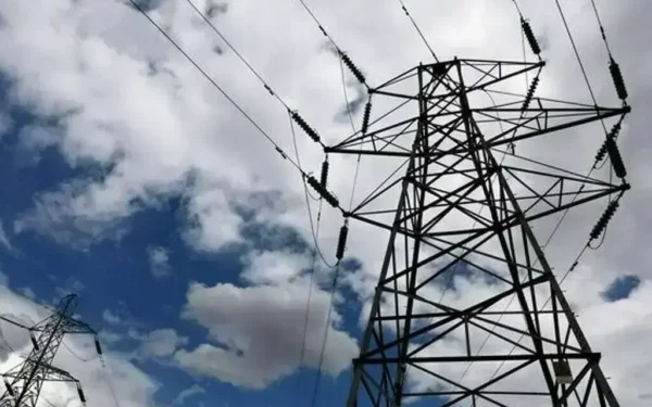 Sapphire Fibres Joins Bid for FESCO Privatisation