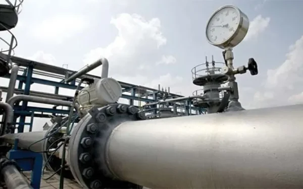 Government Plans to Unbundle SNGPL and SSGCL into Five Companies