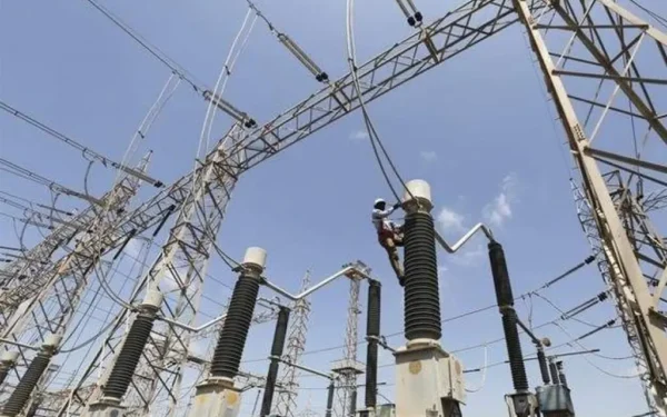 Power sector reforms face complex challenges Power sector reforms face complex challenges