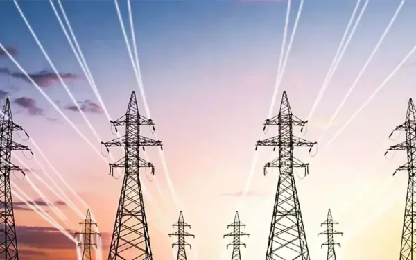 Nishat Group consortium enters race for FESCO privatisation Nishat Group consortium enters race for FESCO privatisation