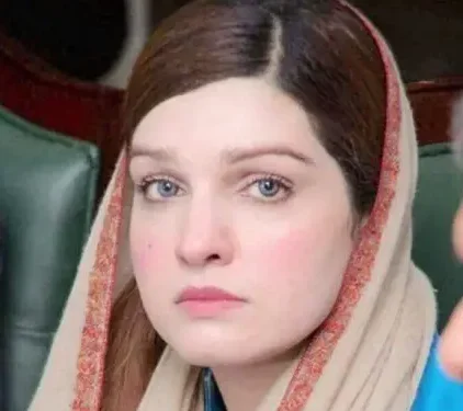 Mushaal Mullick Reaffirms Mediation Offer for AJK Crisis