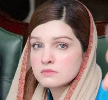 Mushaal Mullick Reaffirms Mediation Offer for AJK Crisis Mushaal Mullick Reaffirms Mediation Offer for AJK Crisis