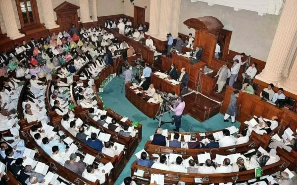 PAC raises concerns over financial irregularities in public universities