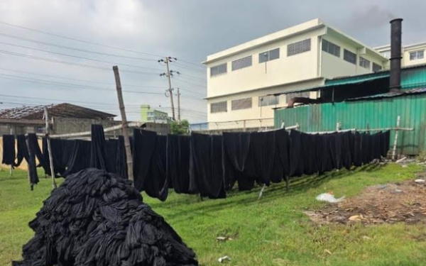 Environment Department Inspects Industrial Establishments to Prevent River Pollution Environment Department Inspects Industrial Establishments to Prevent River Pollution
