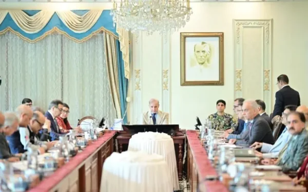 PM Shehbaz Urges Comprehensive Strategy for Discos Privatisation PM Shehbaz Urges Comprehensive Strategy for Discos Privatisation