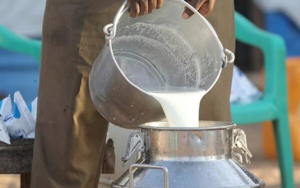 Punjab Launches Tracker System to Monitor Milk Supply Vehicles Punjab Launches Tracker System to Monitor Milk Supply Vehicles