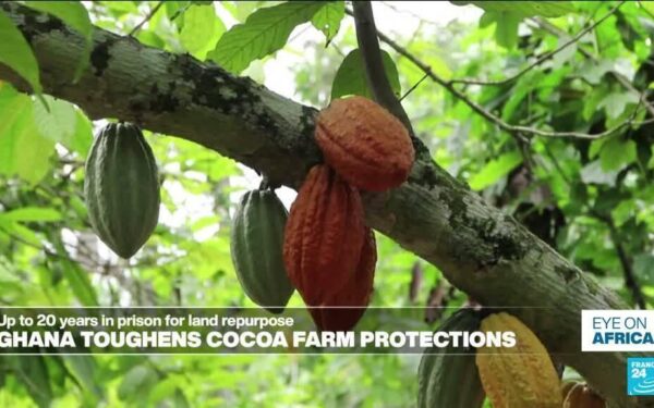 Ghana parliament toughens cocoa land repurposing laws Ghana parliament toughens cocoa land repurposing laws