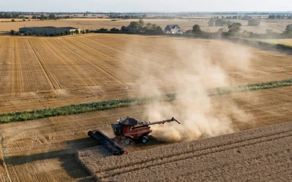 Farmers warn of food shortages as Britain faces ongoing drought Farmers warn of food shortages as Britain faces ongoing drought
