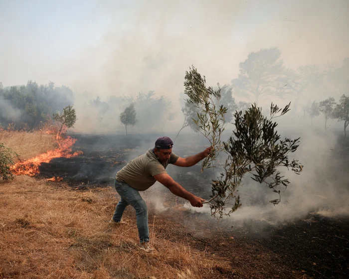 Olive Oil Prices Set to Rise Amid European Crop Crisis Olive Oil Prices Set to Rise Amid European Crop Crisis