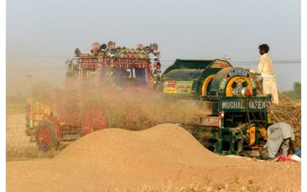 Government Considers Tax-Free Wheat Imports to Rebuild Strategic Reserves Government Considers Tax-Free Wheat Imports to Rebuild Strategic Reserves