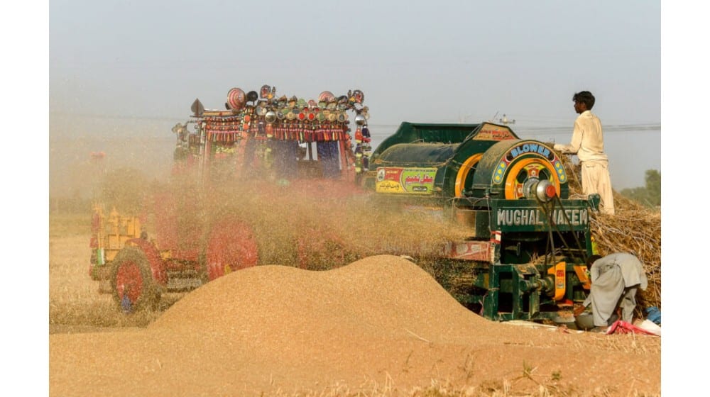 Government Considers Tax-Free Wheat Imports to Rebuild Strategic Reserves Government Considers Tax-Free Wheat Imports to Rebuild Strategic Reserves