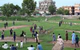 Volleyball players enjoy evening in green space