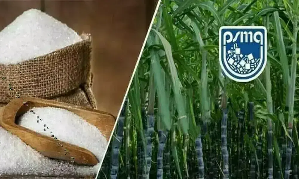 PSMA Urges Government to Approve Sugar Exports PSMA Urges Government to Approve Sugar Exports