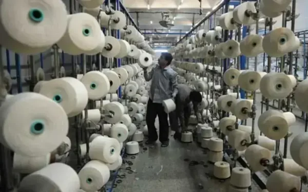 Pakistan's textile industry faces stricter EU regulations Pakistan's textile industry faces stricter EU regulations