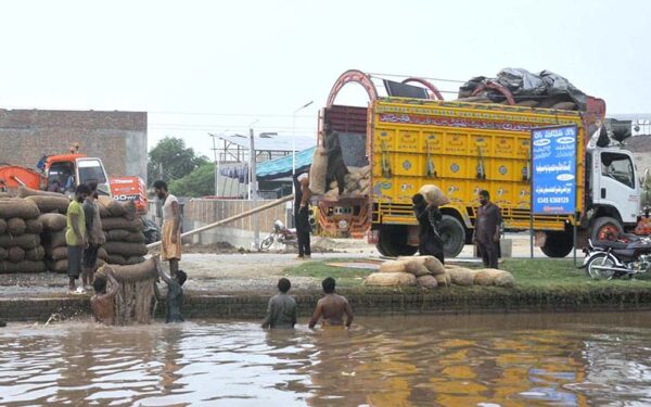 Labourers Wash Potatoes in Canal Before Market Transport Labourers Wash Potatoes in Canal Before Market Transport