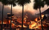 US Senators Call for Crackdown on Wildfire Betting US Senators Call for Crackdown on Wildfire Betting