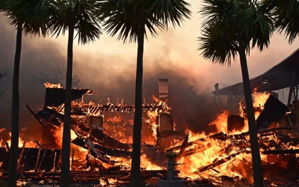 US Senators Call for Crackdown on Wildfire Betting US Senators Call for Crackdown on Wildfire Betting