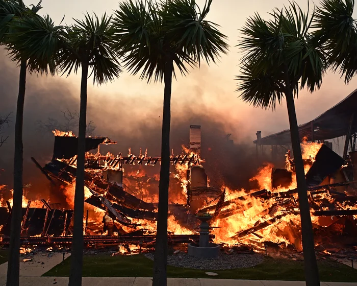 US Senators Call for Crackdown on Wildfire Betting