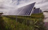 Trump signs tariffs on polysilicon, benefits US and non-Chinese producers