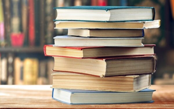 Punjab AI Syllabus for Primary Schools Awaits Final Approval Punjab AI Syllabus for Primary Schools Awaits Final Approval